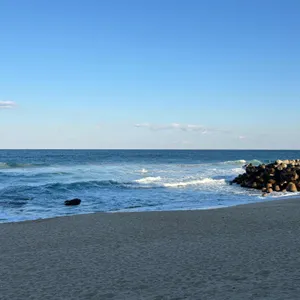 강릉닭강정 대표 사진