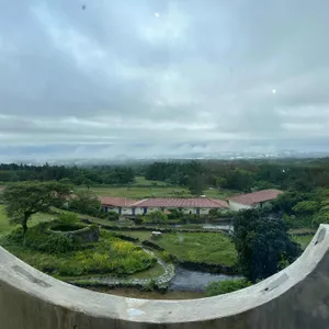 파파스브로트 대표 사진