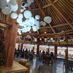 카페 노경보차 라파 리뷰 사진