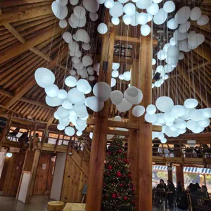 카페 노경보차 라파 리뷰 사진