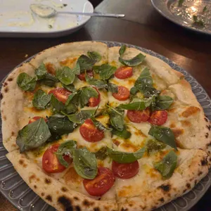 렌조 타파타 사진