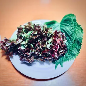 강구회실비타운 대표 사진