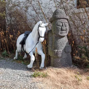 호세 리뷰 사진