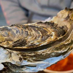 박달선술집 사진