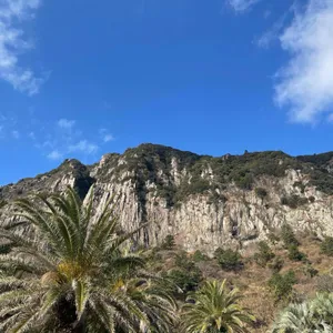 원앤온리 리뷰 사진