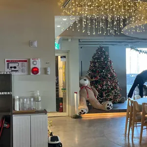 리코리카 리뷰 사진