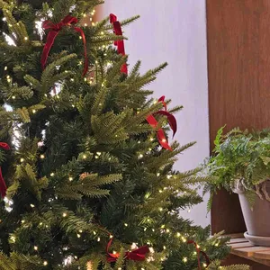 그라비에 리뷰 사진