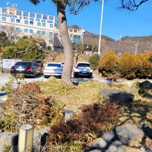 백제13월 리뷰 사진