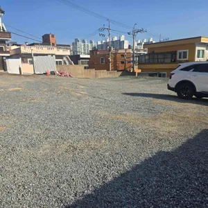 디비디비딥 리뷰 사진