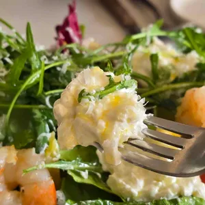 디비디비딥 사진