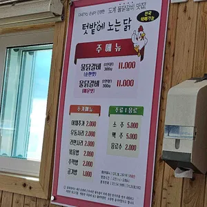텃밭에노는닭 리뷰 사진