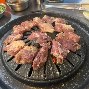 마포부산갈매기 사진