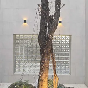 다크앤라이트 리뷰 사진