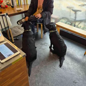 레인웨이커피 대표 사진