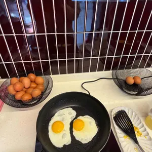 고고차이나 리뷰 사진