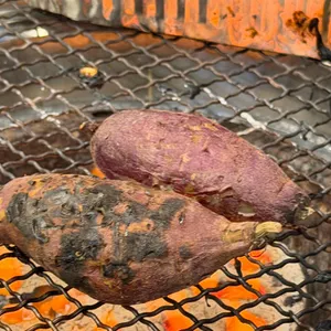 살아있네 리뷰 사진