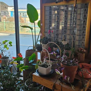 요일 카페 대표 사진