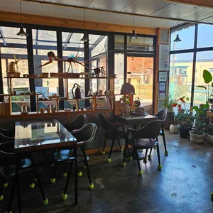 요일 카페 대표 사진