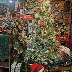 트리인블루 리뷰 사진