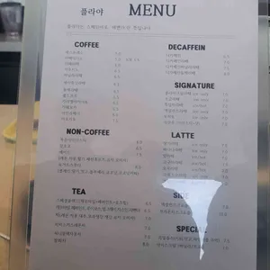 플라야 리뷰 사진