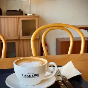 레이크라이크 리뷰 사진