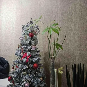 파티세리 비레이 리뷰 사진