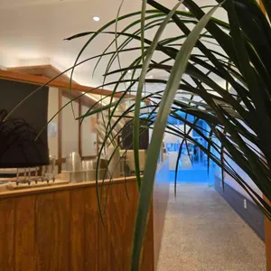 텐퍼센트커피 대표 사진