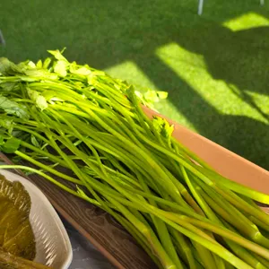 뚝심 리뷰 사진