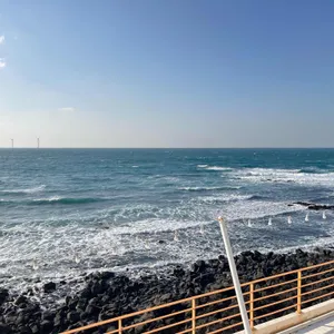 해지개 리뷰 사진