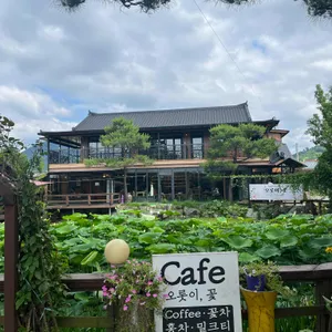 오롯이꽃 리뷰 사진