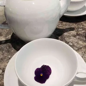 로라스블랑 리뷰 사진