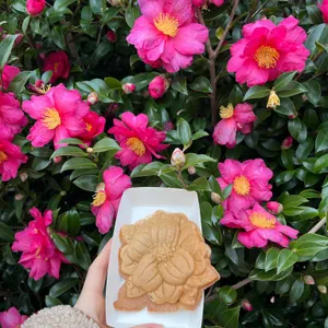 동백포레스트 리뷰 사진