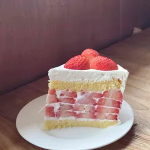 라이프라이크 사진 1