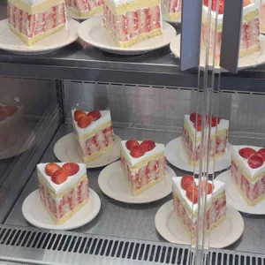 라이프라이크 리뷰 사진