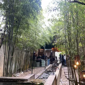 치앙마이방콕 리뷰 사진