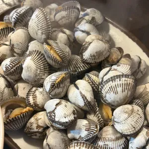 술이술술 리뷰 사진