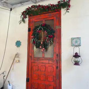 로라의정원 리뷰 사진