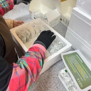 참순찰떡방 대표 사진