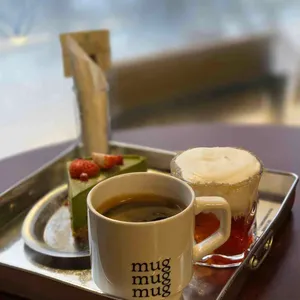 트램 서울 사진