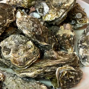 바다포차 리뷰 사진