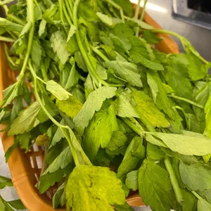 목구멍 리뷰 사진