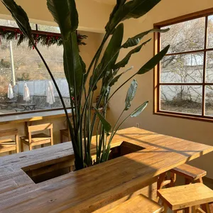 통사리333 대표 사진