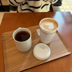 포이어로스터스 사진