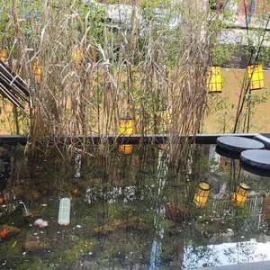 우물집 리뷰 사진