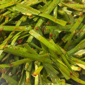 오드리곱창 리뷰 사진