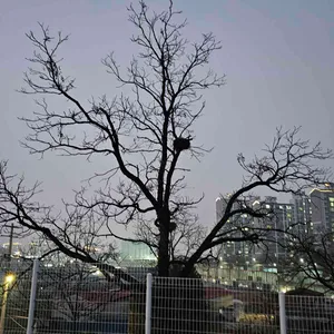 카페 하이라이트 리뷰 사진