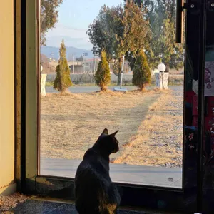 그라니타 카페 리뷰 사진