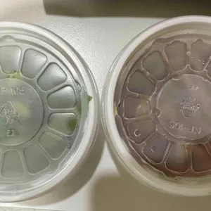 스시미소 대표 사진