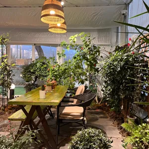 노시즌 리뷰 사진