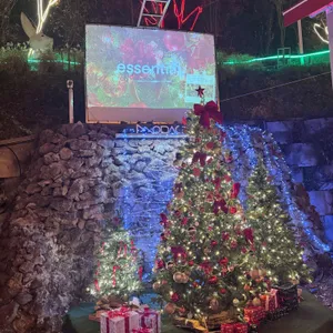 모닥303 리뷰 사진